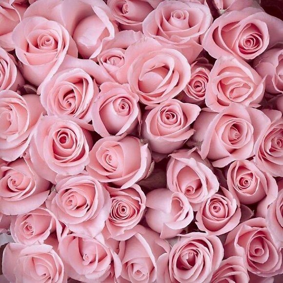 Bundle to save $$ - Picture 2 of 7